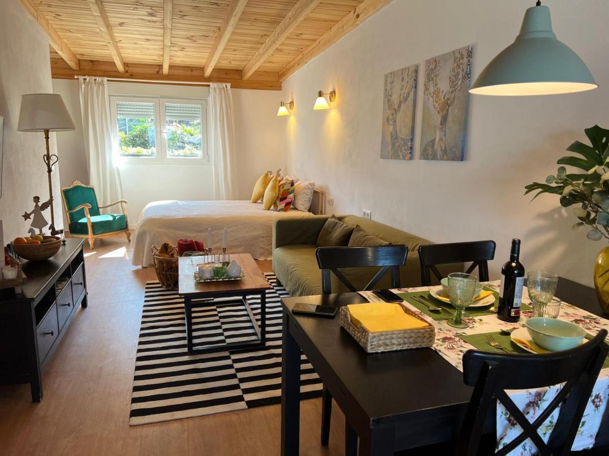 Casa Chano Estudio Confortable Tenerife Icod De Los Vinos Εξωτερικό φωτογραφία