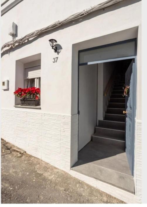 Casa Chano Estudio Confortable Tenerife Icod De Los Vinos Εξωτερικό φωτογραφία